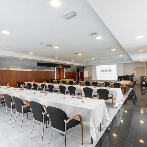 meeting sala pisani panoramica 1